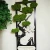 AnyConv.com__Photoroom_20260124_180045.webp