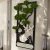 AnyConv.com__Photoroom_20260124_180640.webp