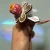AnyConv.com__Photoroom_20260219_115229-2.webp