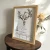 AnyConv.com__Photoroom_20250715_171447 (1)-min.webp