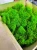 AnyConv.com__IMG_6656-min.webp