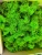 AnyConv.com__IMG_6655-min.webp