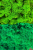 Projekt bez nazwy (21).png