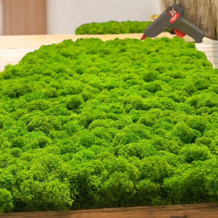 AnyConv.com__Photoroom_20250423_210459 (1)-min.webp