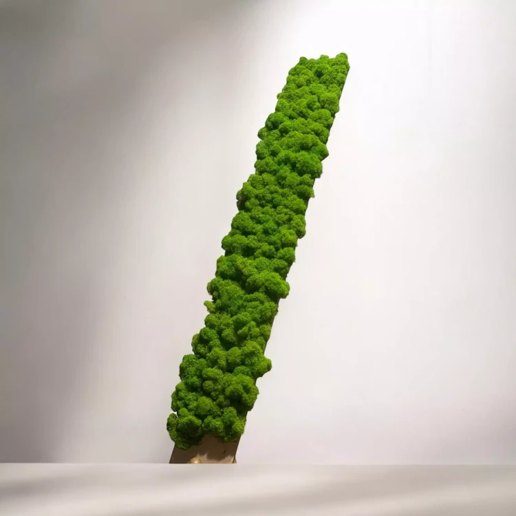 AnyConv.com__Photoroom_20250423_210938 (2)-min.webp