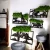 AnyConv.com__Photoroom_20250403_161402-min (1).webp