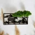 AnyConv.com__Photoroom_20250403_163627 (1)-min (1).webp
