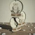 AnyConv.com__Photoroom_20251126_140634.webp