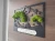 AnyConv.com__IMG_1237.webp