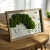 AnyConv.com__Photoroom_20251209_133946-min.webp