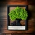 AnyConv.com__PhotoRoom_20231231_112915-min (1).webp